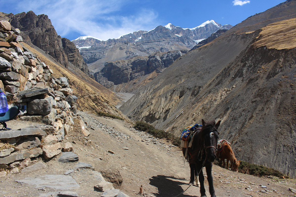 Annapurna Base Camp Trek